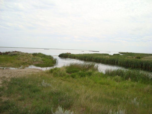 Large prairie marsh