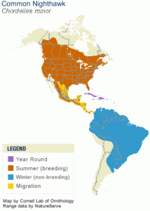 Range of the Common Nighthawk from AllAboutBirds.org