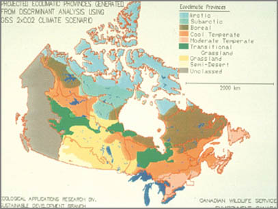 Projected ecoregions of Canada after climate change