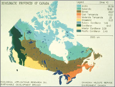 Ecoregions of Canada before climate change