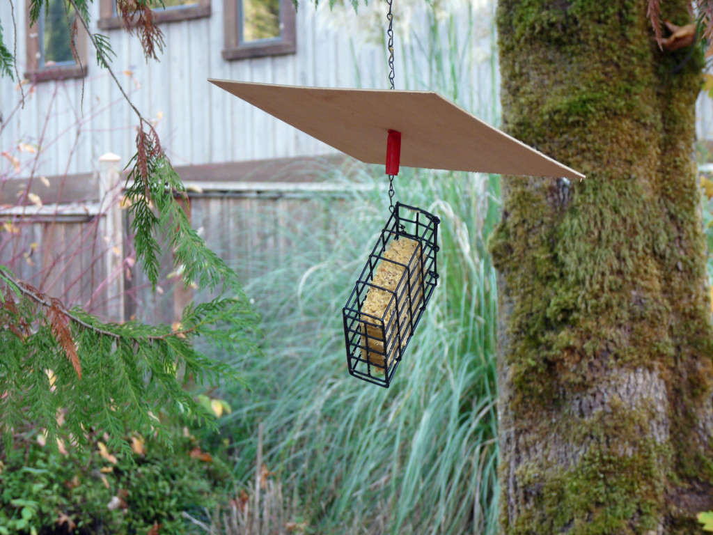 Hanging suet feeder with a floating roof 